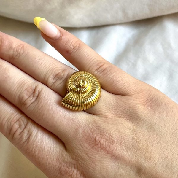 Anillo Costa