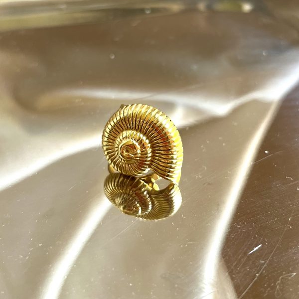 Anillo Costa - Imagen 2